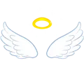 Wings