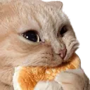 k_pancake