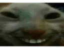 xdd