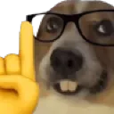 nerd_doge