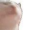 A_cat_blast