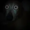 doggodarkness doggodarkness