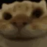 fastnod