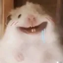 dumbstare dumbstare