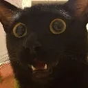carwowzers