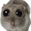 IWILLGUTYOU IWILLGUTYOU