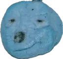 smugasscookiedog_null