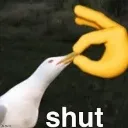 shut