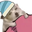 UN_ChiSleep UN_ChiSleep