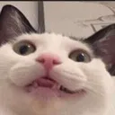 awksmile