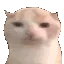 chubbyEat