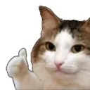 cat_thumb2
