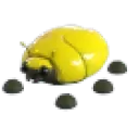 giantgoldscarab