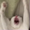 raaaa