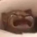 WAAAAAAAAAAAA