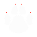 WhiteWolvesCard