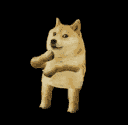 Danceingdoge