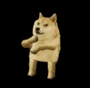 Danceingdoge
