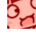 mutsukimadge