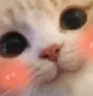 UWU