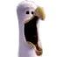 kakaka