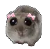 CuteAesthetic CuteAesthetic