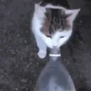 HYDRATEEEE