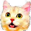 Partycat animated Discord emote - Μ Λ Υ V Ι L L Ξ🌿