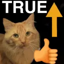 Elliot_cat_true Elliot_cat_true