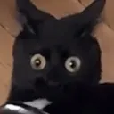 whattheheck