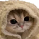 kittycozyblankie