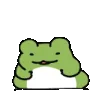 frog_yay95