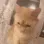 kit_AAAA