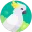 Cockatiel