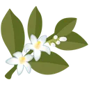 lilyofthevalley