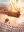 Elijahandthe480falseprophets