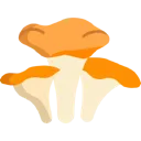 fallfungi