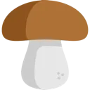 fallmushroom