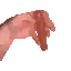 hotdogspin