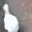 goosesilly