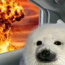 fire_seal
