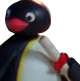pingu_degree Discord emoji