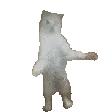 SCdanceFUNKY