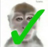 tee_MonoSi Discord emoji