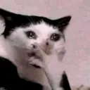 emoji_17