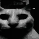 cat_uncanny
