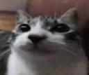 1130695756869816432 1130695756869816432