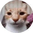 ladno