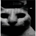 iqguyDespair