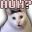Huh
